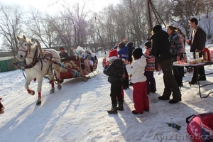 катание на санях,  запряженные  белой лошадью – зимнее развлечение для детей и вз #1527729