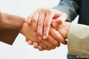 Профессиональный медиатор. #1522056