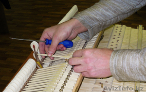 Настройка пианино по камертону качественно.   #1523289