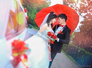 Профессиональный фотограф скидка -50% #1533393