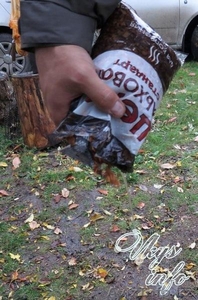 Горячие копчение сало,  крылышки,  курица, мясо #1538000