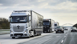 Eurasian Bridge #1532218