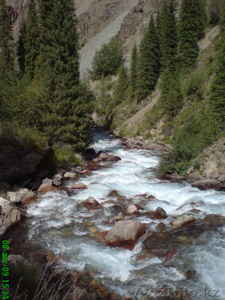 Туры выходного дня ! #1538420