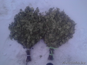 веники  берёзовые банные #1533194