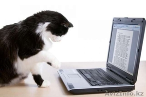 Набор текста (Word,  Excel,  Power Point и др.) #1544509