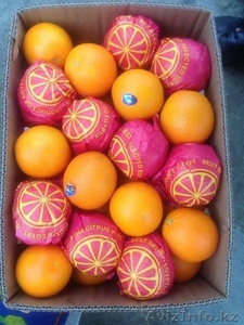 Апельсины и мандарины из Египта оптом #1543349