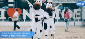 Видео ролики имиджевые #1461728