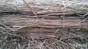 плиты из камыша #1549768