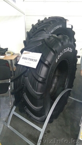 шина 600/70R30 TL DN-164  DNEPROSHINA #1552969