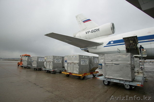 Авиаперевозки из Узбекистана в любую точку мира #1549839