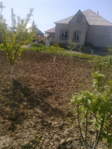 Срочно продам 5-ком. дом #1554718