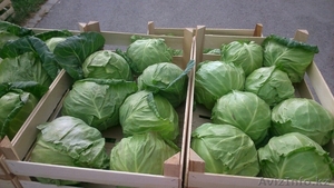 Российская компания приглашает к сотрудничеству #1549377