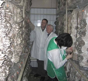 Ищу инвестора или бизнес партнера для уникального производства Или возьму зака #1550584