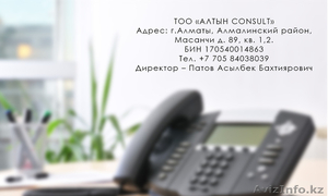 Алтын Консалтинг  #1562134