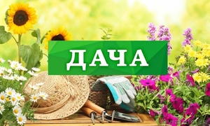 Продам Дачу!!! Восточный 3 дачи #1556031