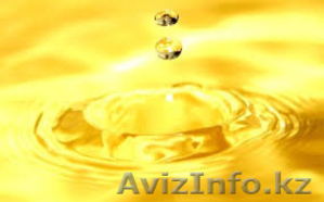 Сельскохозяйственная продукция на экспорт #1562179