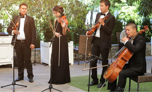 Струнный квартет 