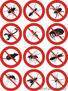 Дезинcекция и дератизация Астана #1561275