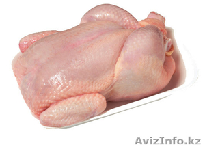 Куриное мясо оптовые поставки #1564150
