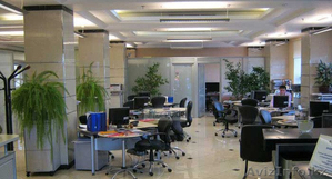 Ремонт магазина и бутиков #1568593