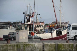 РАБОТА В ИРЛАНДСКИХ РЫБОЛОВНЫХ СУДАХ #1564419