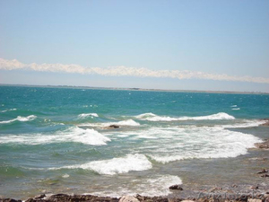 Зона отдыха, Земельный участок и Готовый бизнес! #1563877