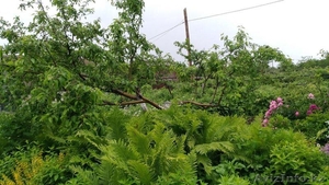 Продам дачу с кирпичным домом