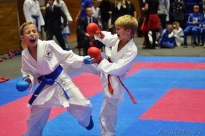 Школа мечты каратиста! Узнай подробней. #1572544