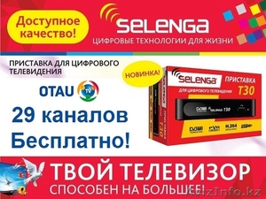 Цифровой Эфирный Ресивер ОТАУ ТВ OTAU TV DVB-T2 Selenga T30 #1571654
