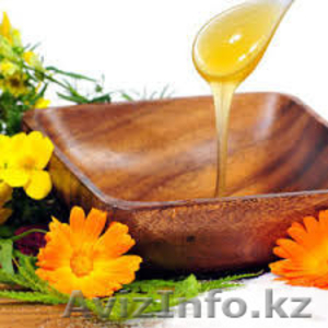 Натуральный Алтайский мед #1572380