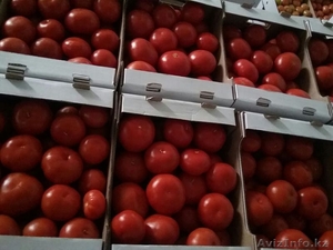 Российская компания приглашает к сотрудничеству сельхозпроизводителей #1573103