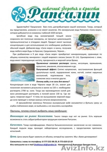 Морская вода - Рапсалин (Источник здоровья) #1570278