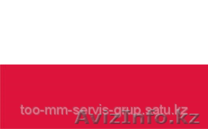 Перевод с польского языка на русский язык и наоборот #1572827