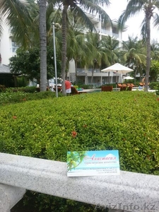 туристическое агентство Анастаcия #1576114