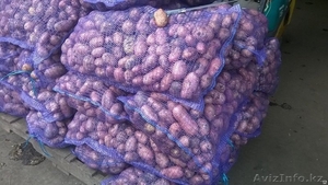 Картофель 5+ Оптом/помощь с доставкой #1580543