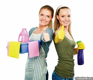 Уборка квартир коттеджей домов  #1575916