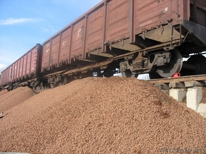 Керамзит насыпью фр.5-40 #1579957