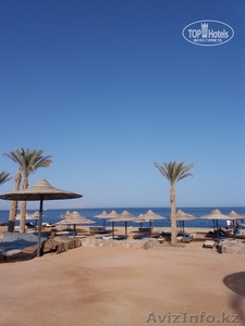 Тур в Египет                     #1576307