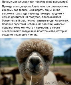 Продаем замечательные и пушистые  ковры из шерсти Альпака  #1579781