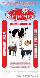 Комбикорма всех видов #1577474