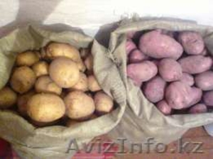 Картофель домашний #1585765