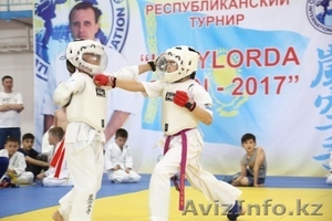 Араши Каратэ #1584958