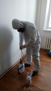 Дезинфекця,  дезинсекция,  дераизация помещений в Астане #1585074