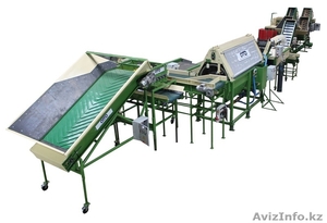 линия мойки, полировки, сортировки, калибровки, фасовки, упаковки овощей #1368266