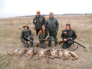 Ищу охотничье угодье или фазенду для сотрудничества #1585678