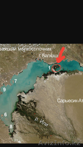 Рыбалка в Балхаше!!! #1584434