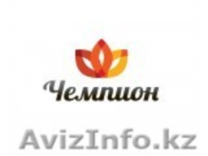 строительство домов под ключ #1590718