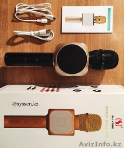 Микрофон-Караоке #1590755