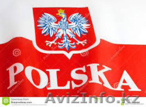 Товары с Польши #1587178