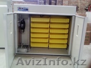 Инкубаторы 2в1 шкаф инкубационо-выводной. Гарантия #1587493